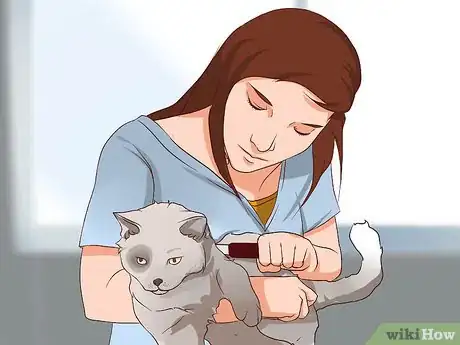 Image titled Prevent Cat Allergies Step 13