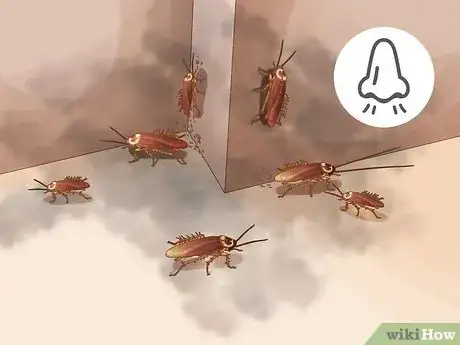 Image titled What to Do if You See a Cockroach Step 8