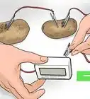 Create a Potato Battery