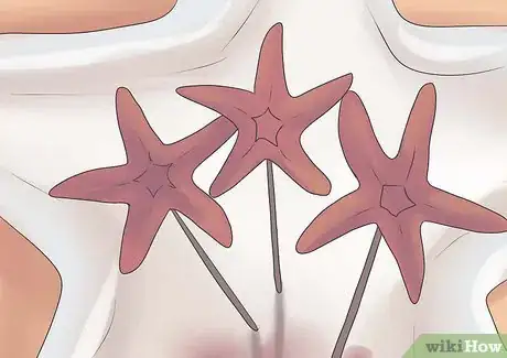 Image titled Preserve a Starfish for a Decoration Step 11