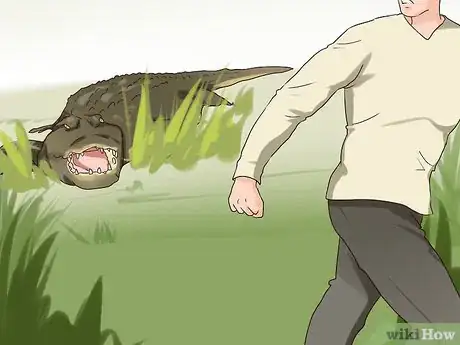 Image titled Avoid an Alligator Attack Step 2