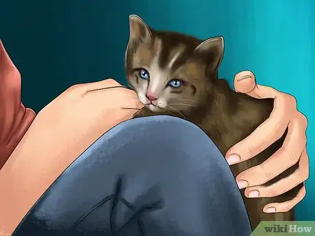 Image titled Know if a Kitten Is Stressed Step 10