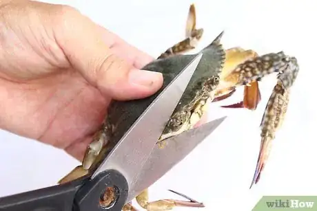 Image titled Prepare Soft Shell Crabs Step 2