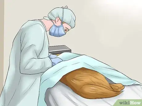 Image titled Clean a Dog's Wound Step 14