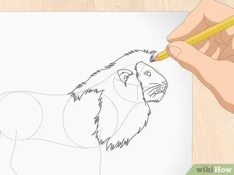 Image titled Draw a Lion Step 8