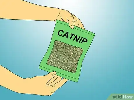 Image titled Make Catnip Spray Step 1