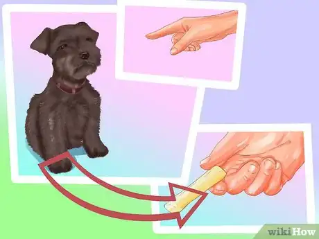 Image titled Care for a Miniature Schnauzer Puppy Step 19