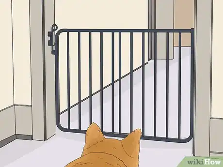 Image titled Train a Shiba Inu Step 11