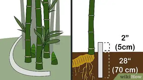 Image titled Kill Bamboo Step 9