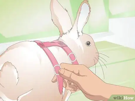 Image titled Make Your Rabbit a Leash Step 11