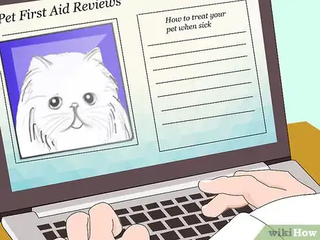 Image titled Make a Cat First Aid Kit Step 12