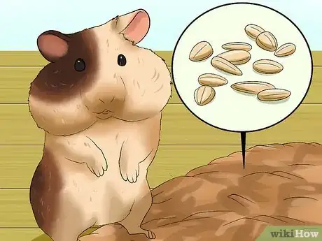 Image titled Tell if a Dwarf Hamster Is Obese Step 12