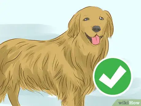 Image titled Look Friendly to Dogs Step 9