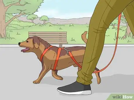 Image titled Dog Sit Step 11