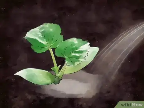 Image titled Plant Vegetables Step 11