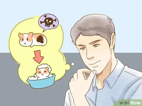 Image titled Give Your Hamster a Bath Step 10