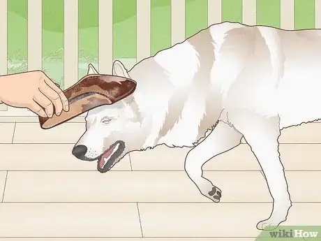 Image titled Stop a Dog's Unwanted Behavior Step 13