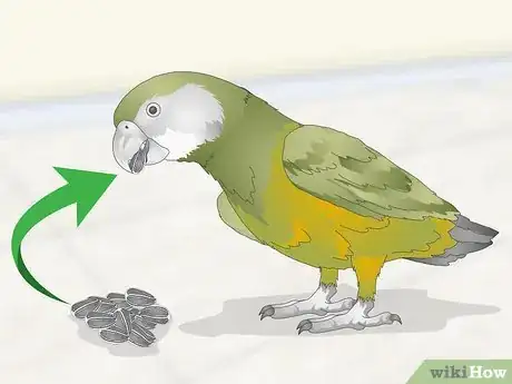 Image titled Feed a Senegal Parrot Step 1