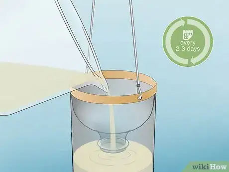 Image titled Get Rid of Wasps with Vinegar Step 12