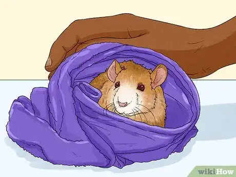 Image titled Care for a Rat That Had a Stroke Step 8