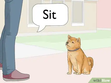 Image titled Train a Shiba Inu Step 4