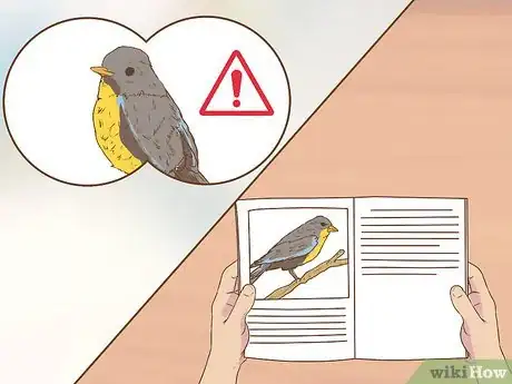 Image titled Bird Watch Step 16