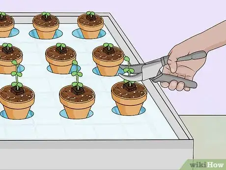 Image titled Build a Hydroponic Garden Step 17