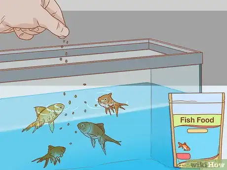 Image titled Start an Aquarium Shop Step 10