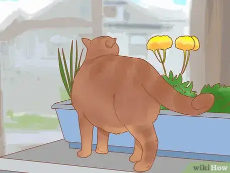 Image titled Prevent Cats from Eating Plants Step 12