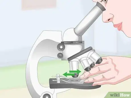 Image titled Clean Microscope Lenses Step 12