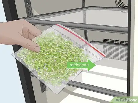 Image titled Grow Alfalfa Sprouts Step 23