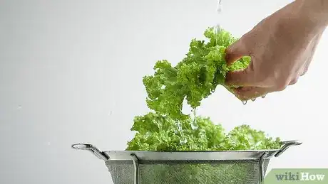 Image titled Freeze Kale Step 2