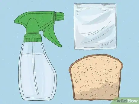 Image titled Make Mold Grow on Bread Step 1