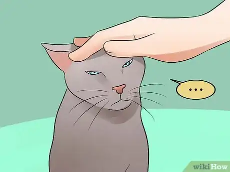 Image titled Help Your Depressed Cat Step 3