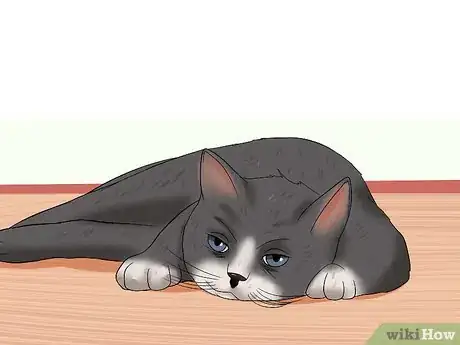 Image titled Know if a Cat Is Stressed Step 6