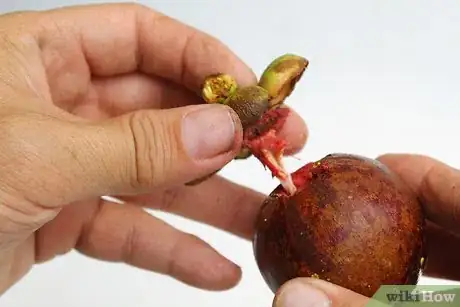 Image titled Eat Mangosteen Step 2