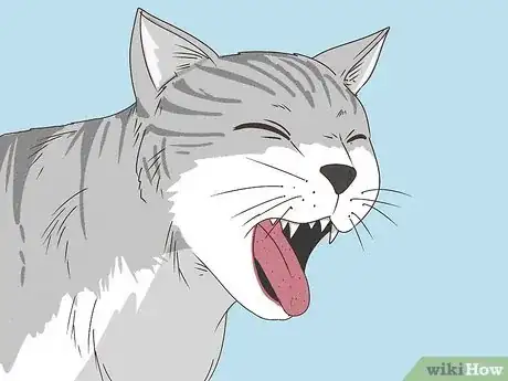 Image titled Treat a Cat With Asthma Step 1