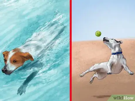 Image titled Live with a High Energy Dog Step 2