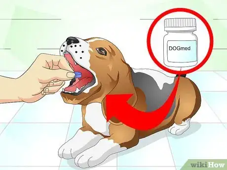 Image titled Nurse a Dog when It's Sick Step 1