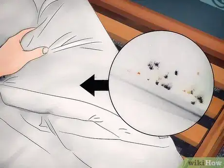 Image titled Identify a Bed Bug Infestation Step 2