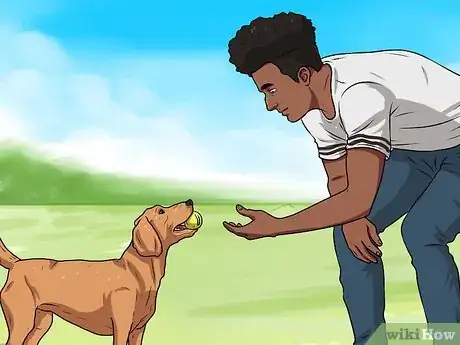 Image titled Teach a Dog to Fetch Step 6