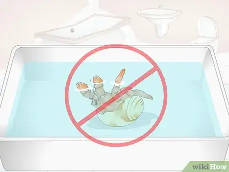 Image titled Give Your Hermit Crab a Bath Step 4