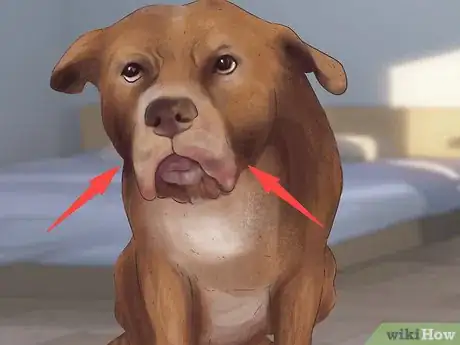 Image titled Recognize Fear in Dogs Step 3