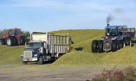 Image titled Packing Corn Silage