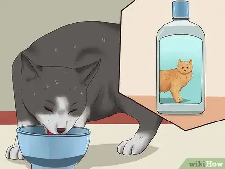 Image titled Clean a Cat's Teeth Step 14