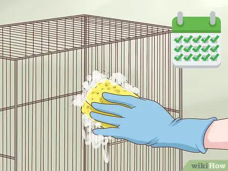 Image titled Treat Chlamydiosis in Parakeets Step 9