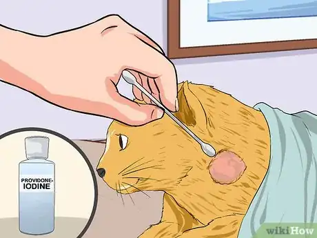 Image titled Clean a Cat Wound Step 10