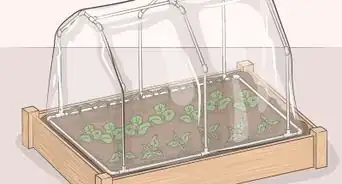 Make a Mini Greenhouse