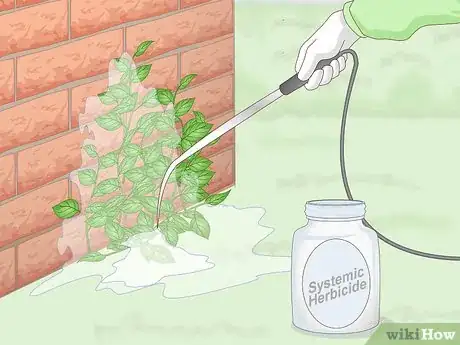 Image titled Kill Vines Step 11