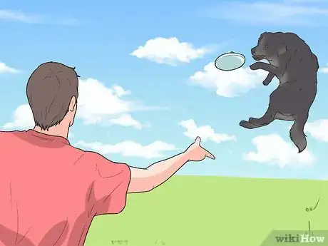 Image titled Stop a Dog Barking at Other Dogs Step 15